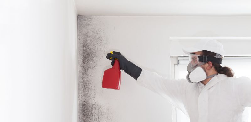 Attic Mold Remediation in Fort Lauderdale, FL