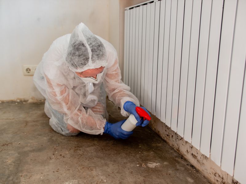Mold Mitigation Service in Dallas, TX