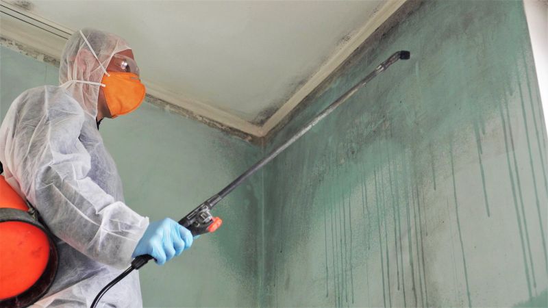 Mold Mitigation Service in Fort Lauderdale, FL