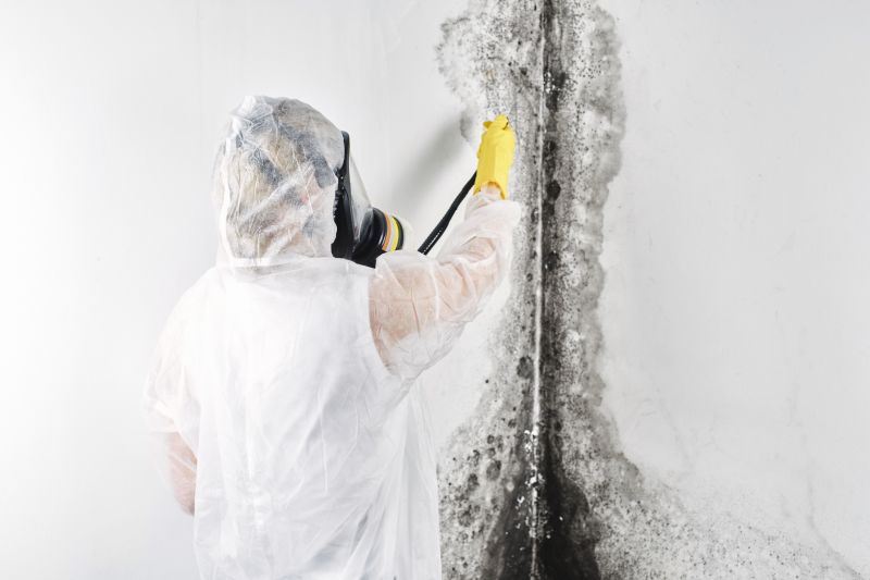 Mold Mitigation Service in Jupiter, FL