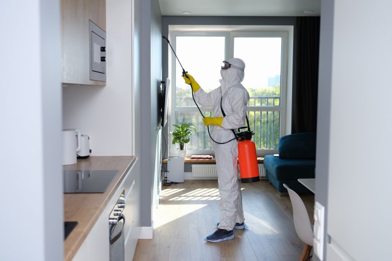 Mold Mitigation Service in Frisco, TX