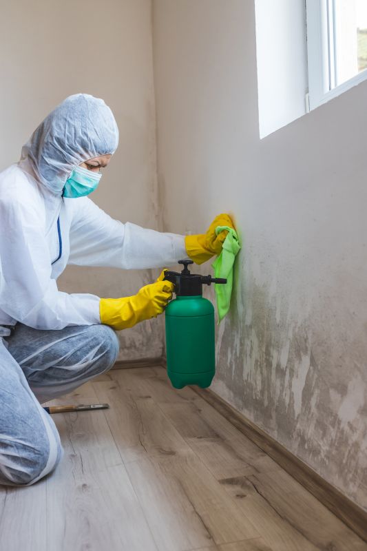 Mold Treatment Service in Essex County, NJ