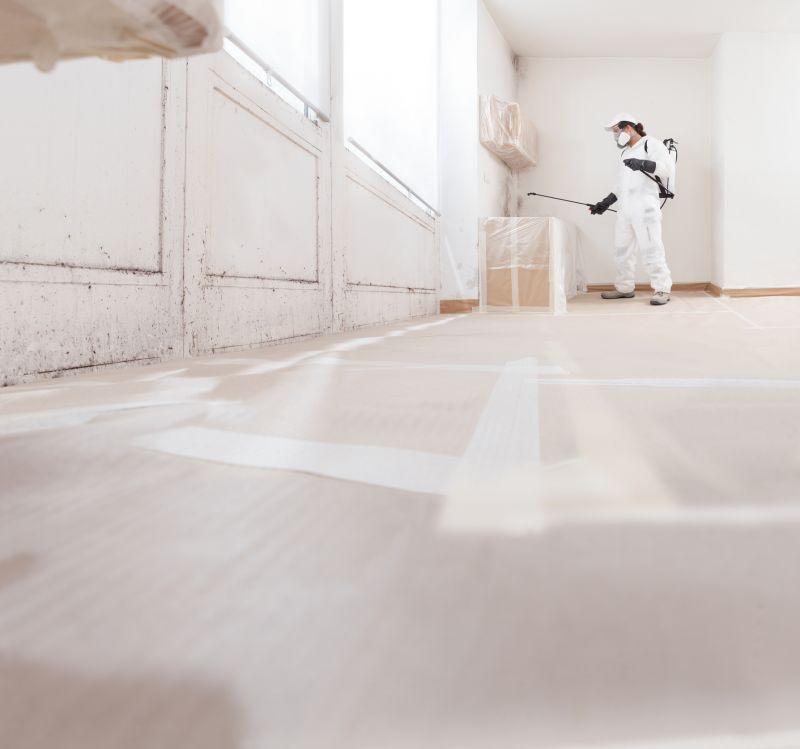 Air Duct Mold Removal in Dallas, TX