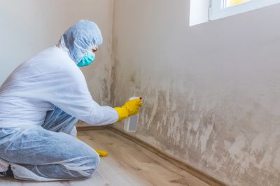 Attic Mold Remediation in West Palm Beach, FL