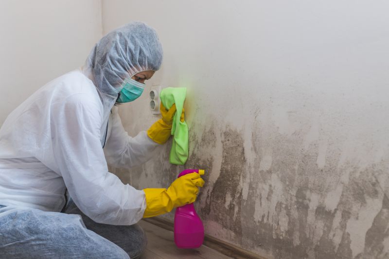 Attic Mold Removal in Fort Lauderdale, FL