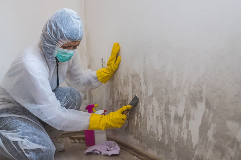 Attic Mold Removal in Dallas, TX
