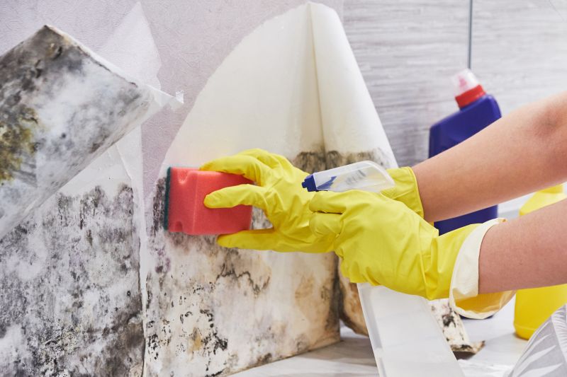 Basement Mold Remediation in Bergen County, NJ