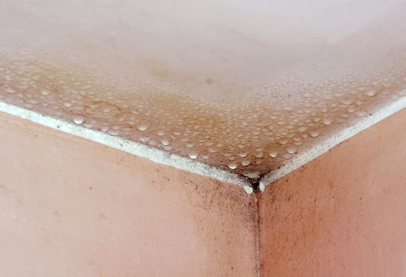 Basement Mold Remediation in Dallas, TX