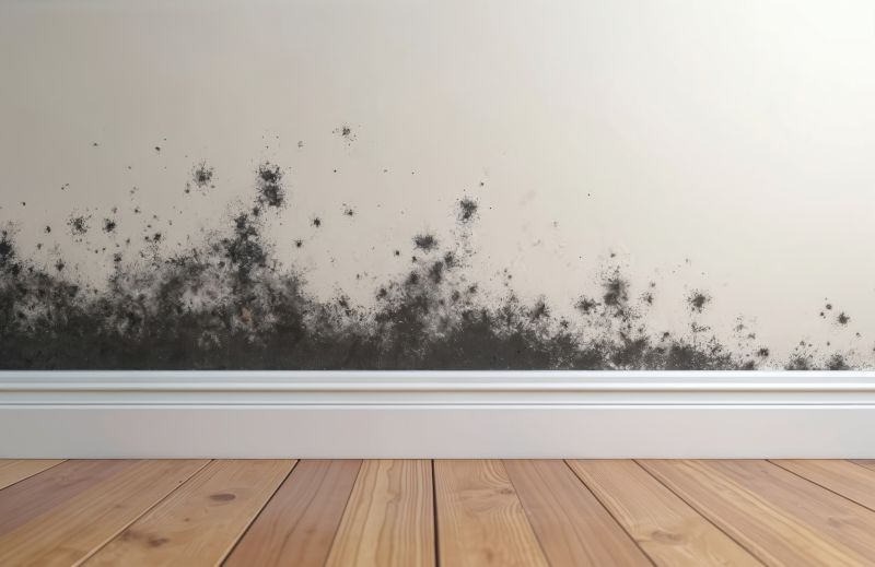 Basement Mold Remediation in Fort Lauderdale, FL