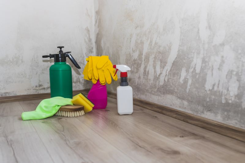 Basement Mold Removal in Broward County, FL