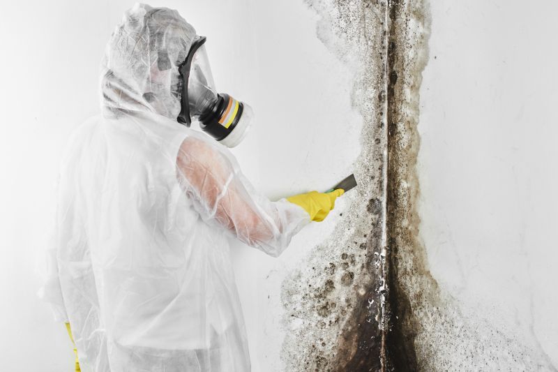 Black Mold Remediation in Broward County, FL