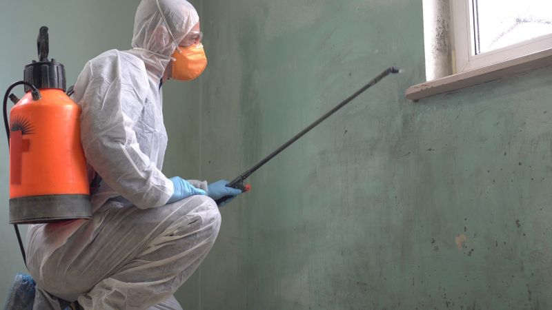 Black Mold Removal in Boynton Beach, FL