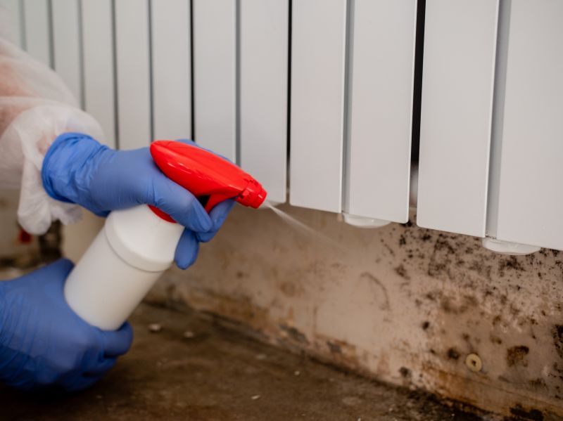 Garage Mold Remediation in Jupiter, FL