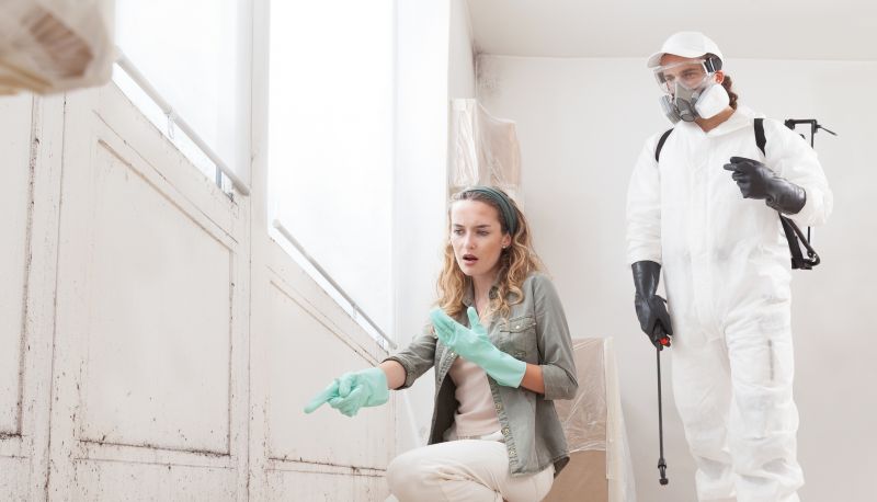 Mold Cleanup Service in Jupiter, FL