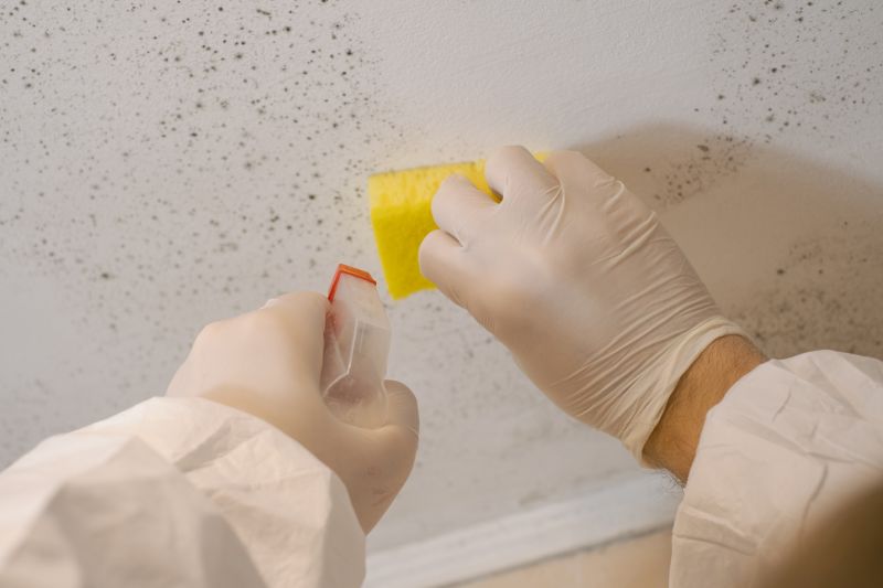 Mold Cleanup Service in Broward County, FL