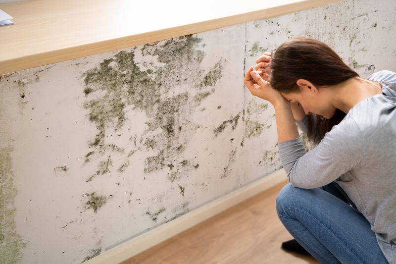 Mold Removal in Fort Lauderdale, FL