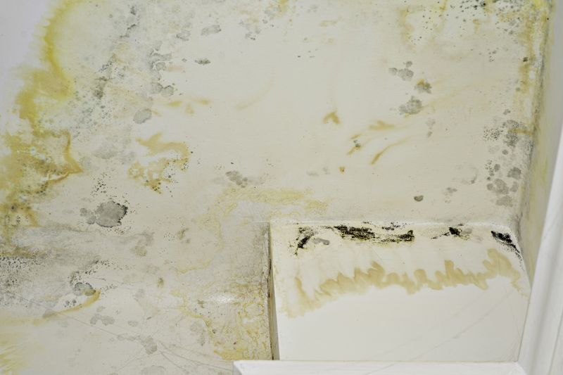 Mold Restoration in Bergen County, NJ